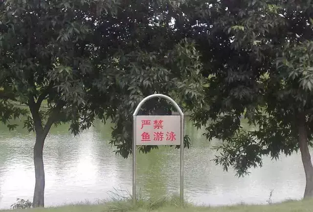 這一些沙雕標(biāo)牌廣告標(biāo)語，讓我站路邊笑了半天停不下來23
