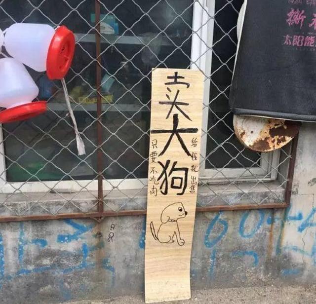 中國街道t型廣告牌有多野？看看這些讓人笑掉大牙的牌子名20