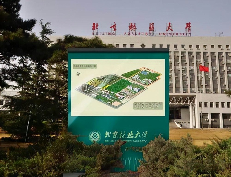 “為人而生”的城市導(dǎo)向標(biāo)識計(jì)劃